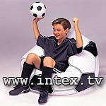   " " 108x110x66 intex-68557