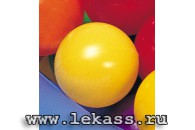 intex 49600 - -    (100 .  )