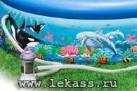 intex 54902 -    30576    + -