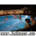    220V "Led Pool Wall Lights" intex 56688