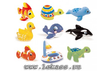 intex 58590 -   (9 )