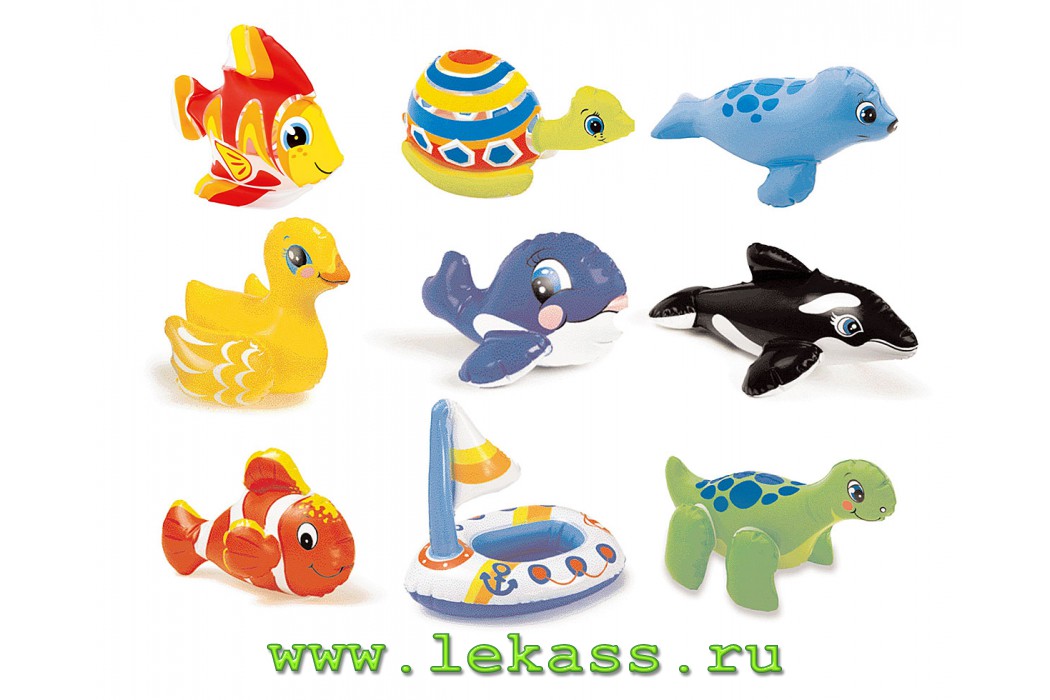 intex 58590 -   (9 )