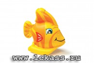 intex 58590 -   (9 )