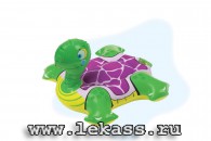 intex 58590 -   (9 )