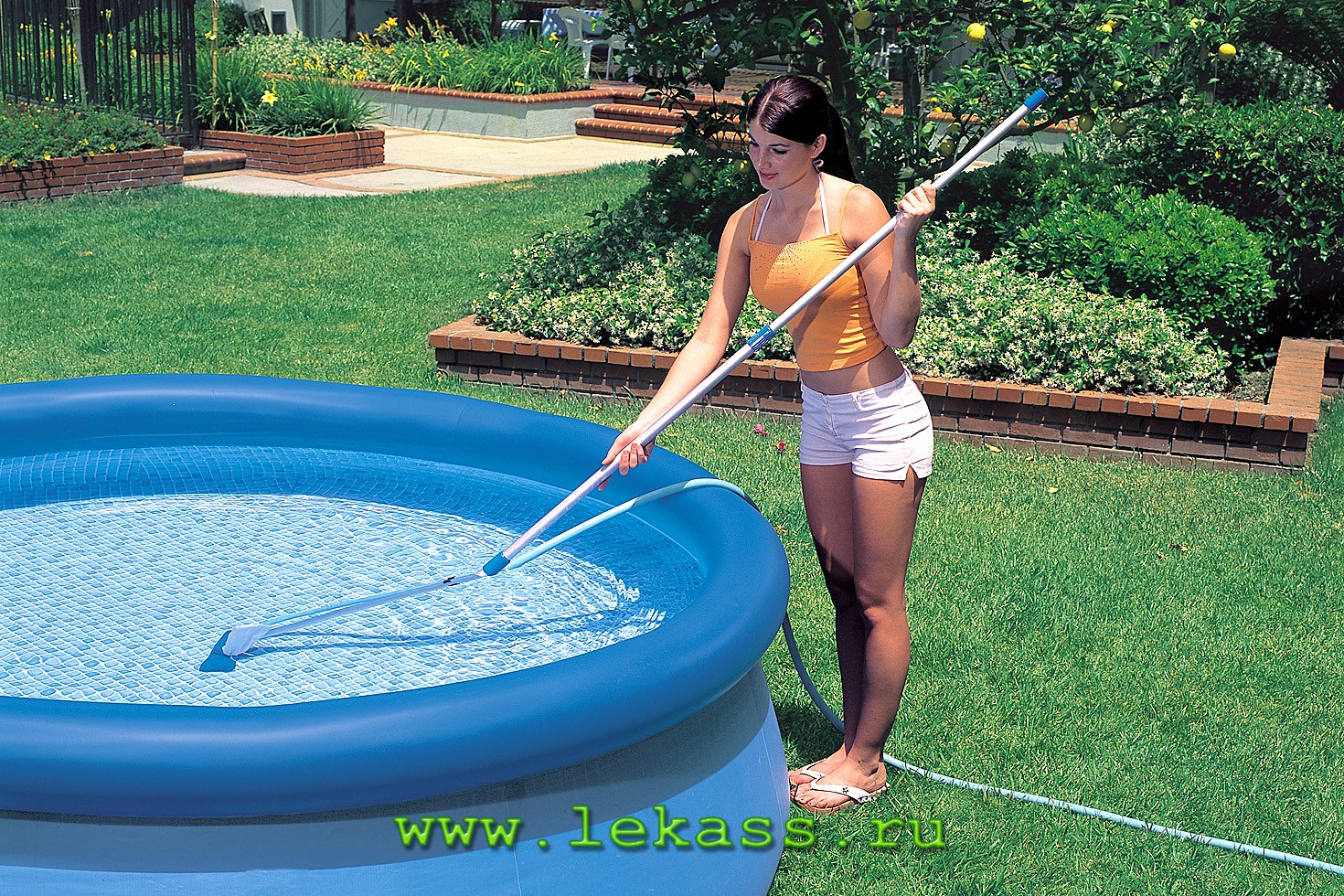 intex 58958 -     (   239)